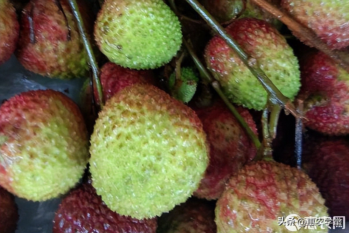 正山小种妃子笑多少钱一斤,正山堂妃子笑多少钱一斤