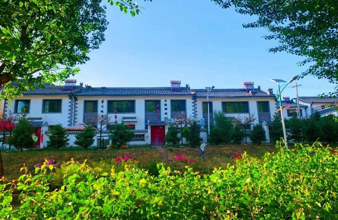 乡村振兴100讲全集,100个经典乡村振兴案例