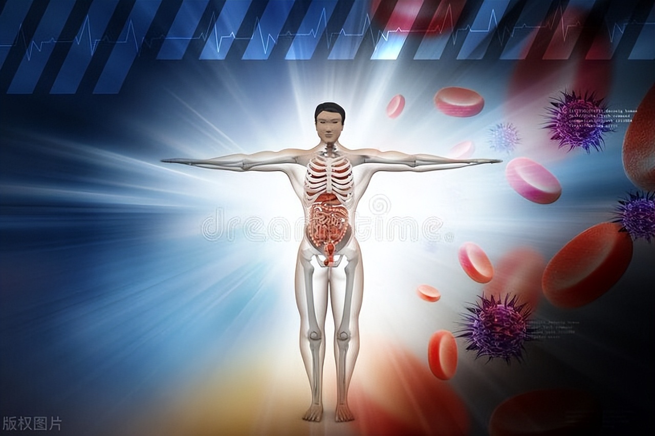 薛立斋气血虚医案,薛立斋医案原文