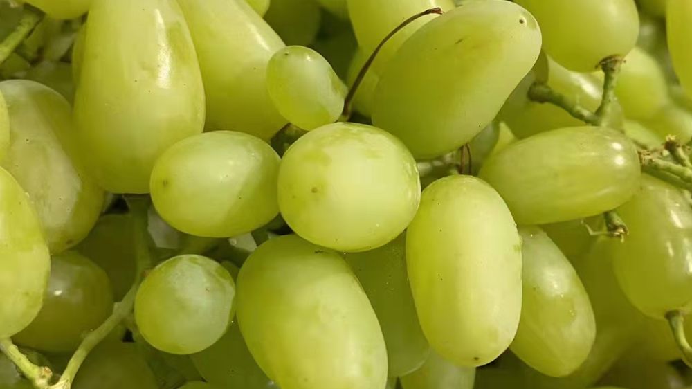 怎么统计水果店成本与利润,一家水果店利润需要哪些数据