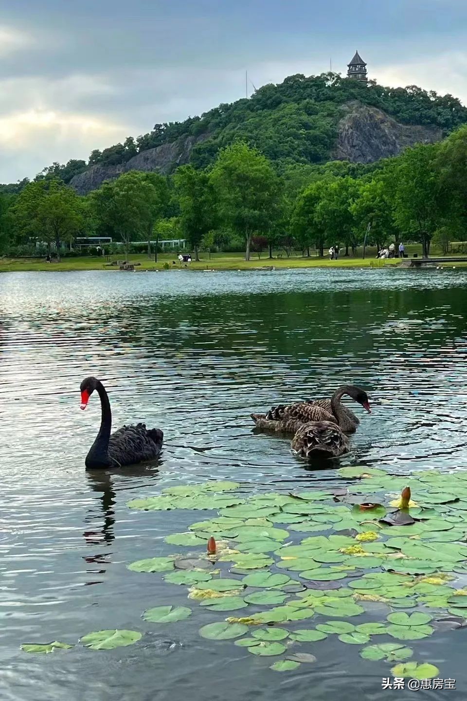 上海公园免费,上海免费公园排行