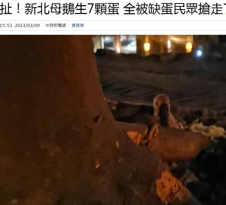 台湾缺蛋问题持续,台湾出现缺蛋危机