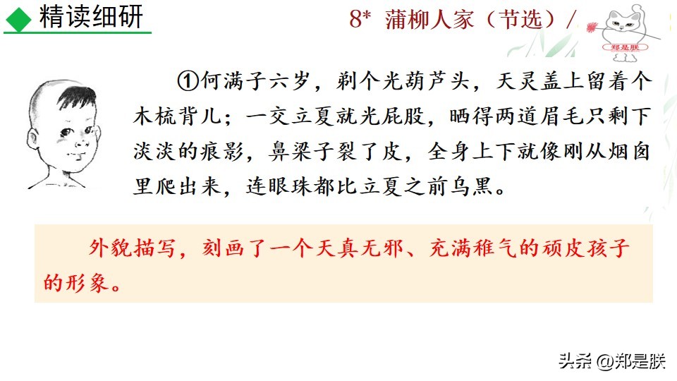 九下蒲柳人家课文,刘绍棠蒲柳人家全文