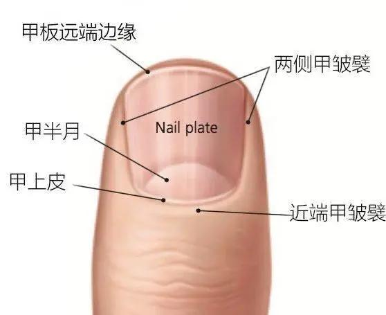 特别喜欢美甲，但是每次美甲后指甲都很受伤，怎么办？