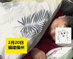 全世界唯一一只世界上最大的猫,世界上最小的体型最大的猫