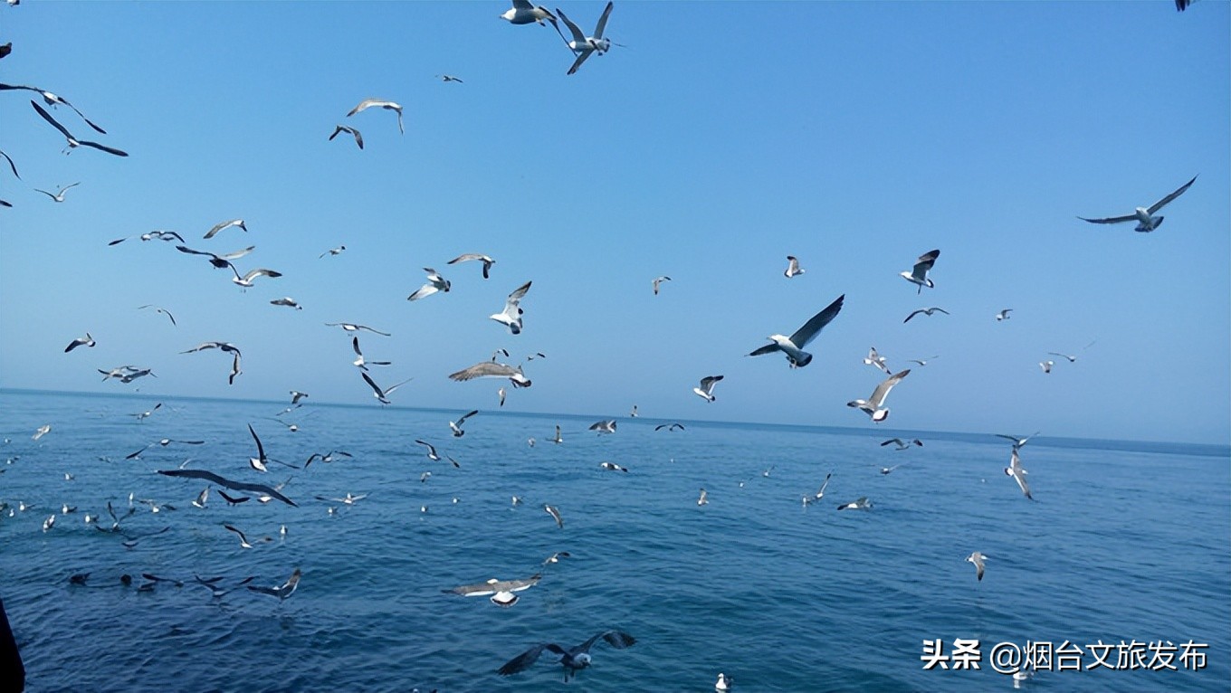 带孩子去烟台哪里玩,带孩子去烟台玩哪里比较好