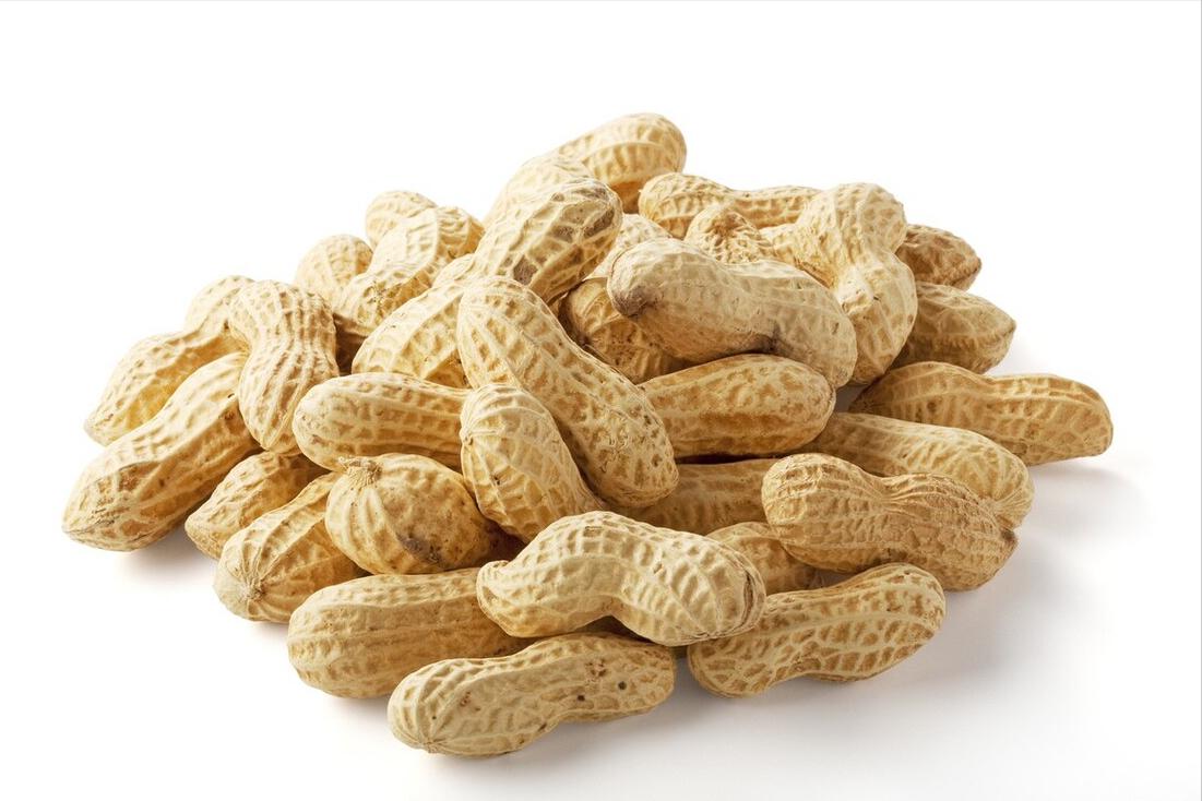 哪种海参有补钙效果,最补钙的食物其实是它