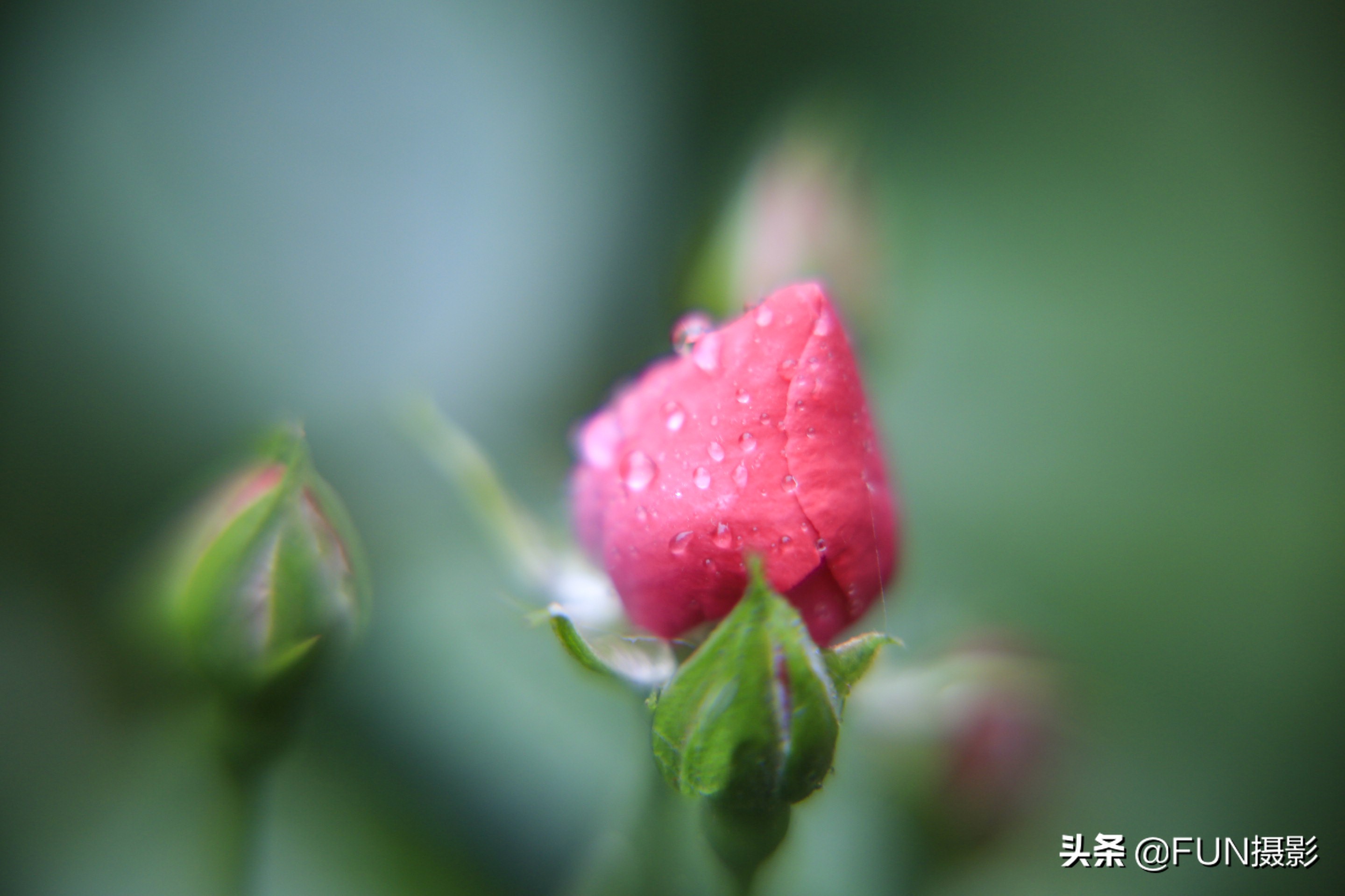 少走40年弯路摄影,入门摄影的话需要什么相机