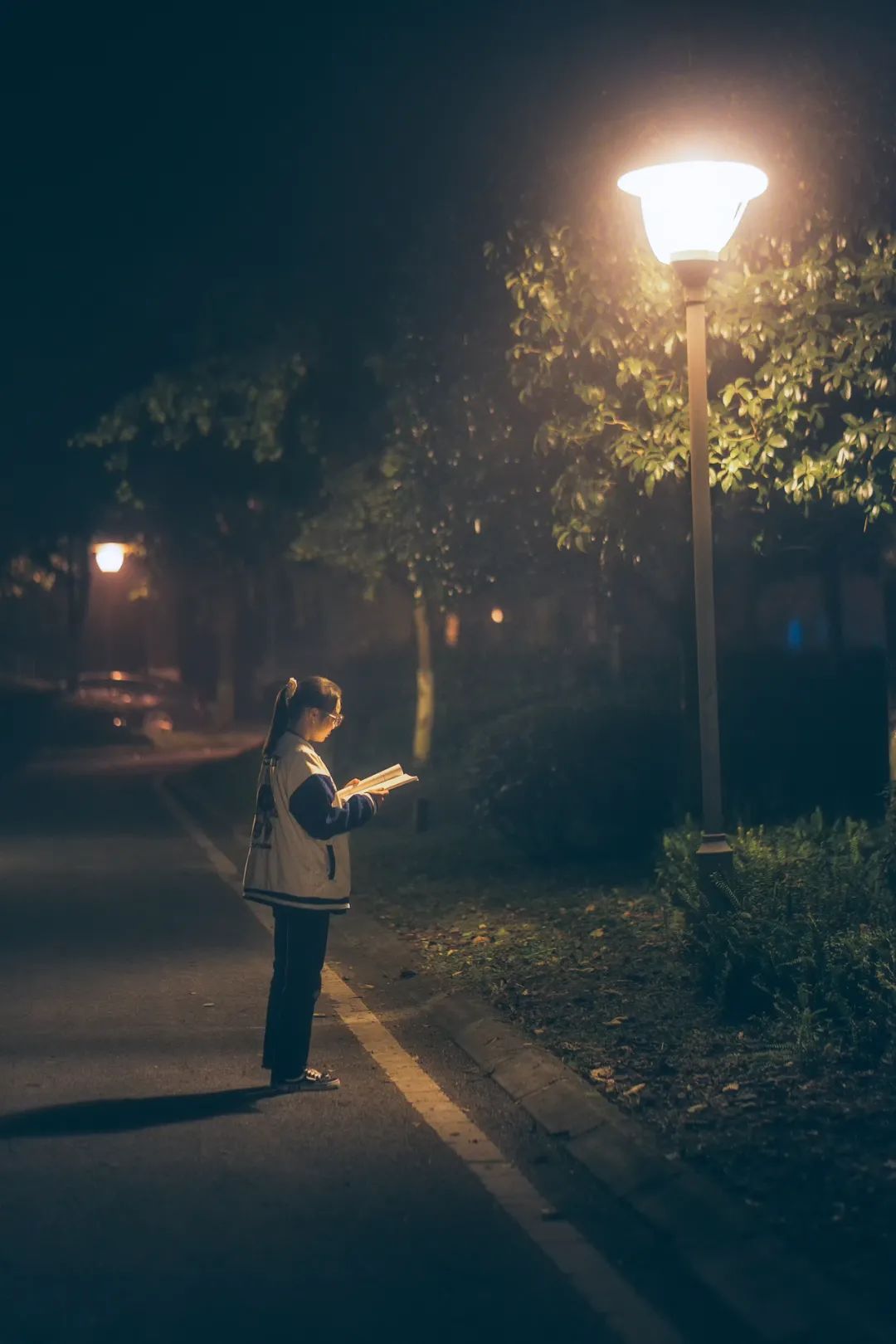 成都向上最新信息,年度向上力量合照