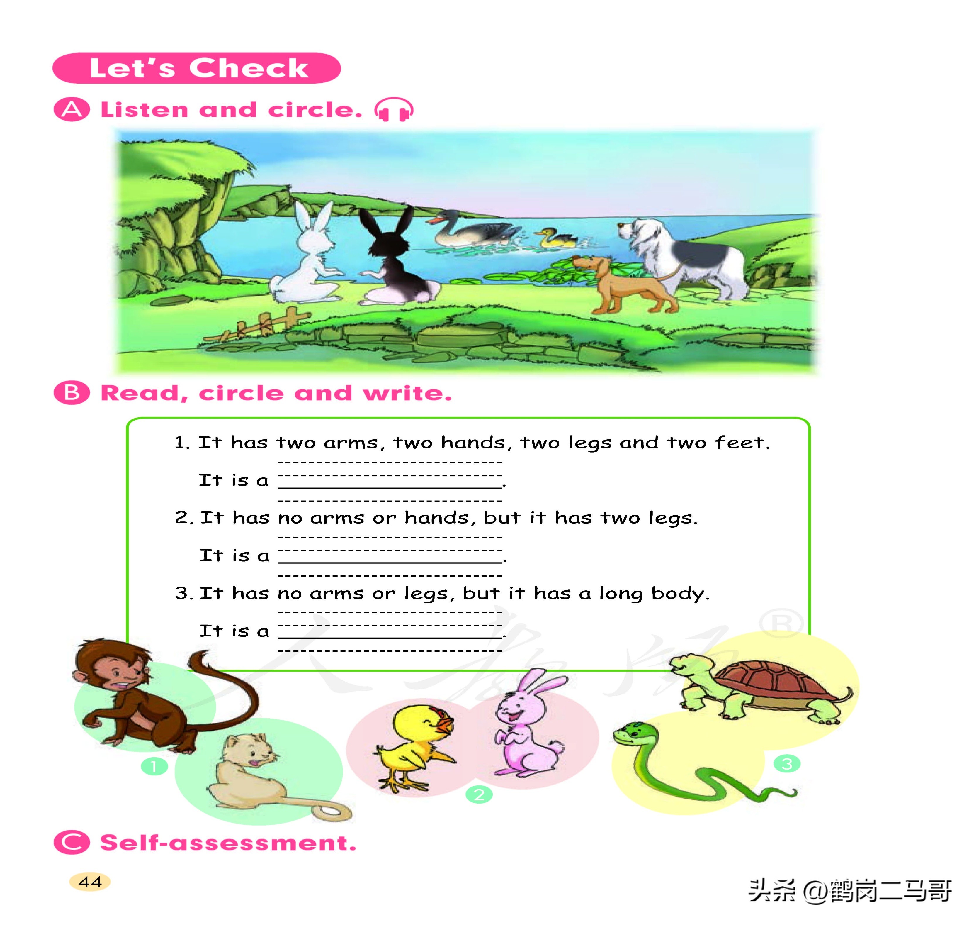 暑假小学预习,暑假预习新初一