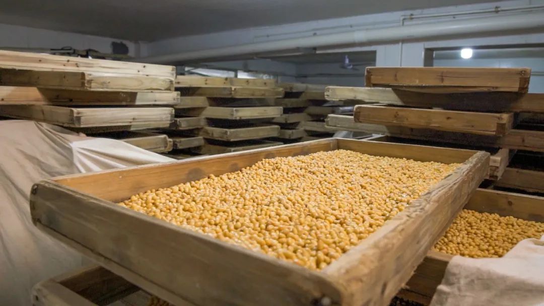 老口子最爱的小吃,长沙星沙特色美食推荐