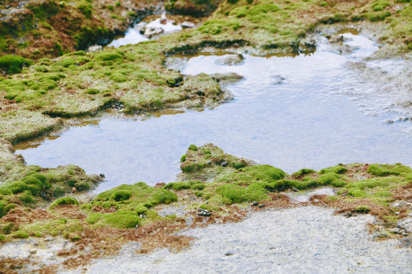 北海涠洲岛旅游最全攻略,广西北海涠洲岛绝美照片