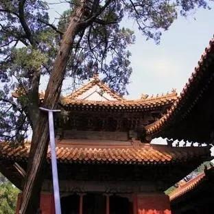 山东孔庙自驾游路线,山东孔庙游览顺序介绍