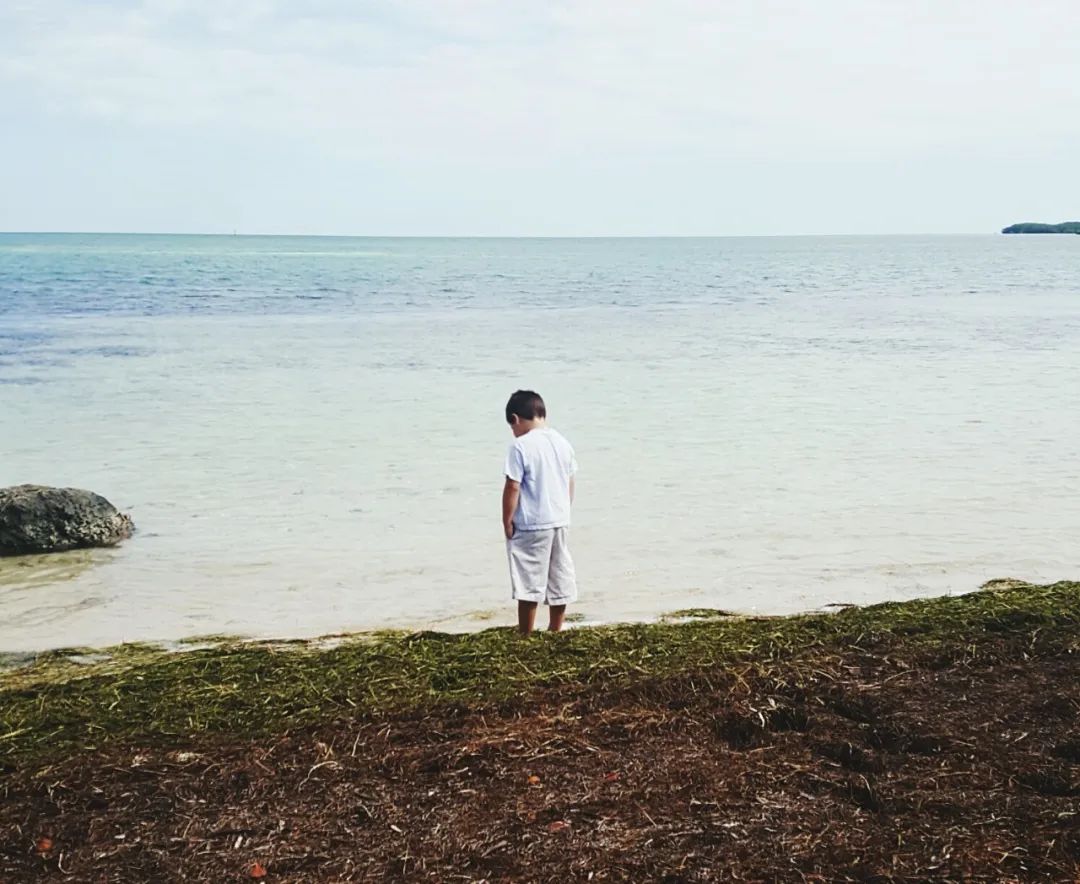 ​胡鑫宇事件真相大白，录音笔内容曝光：为什么自杀的多是男孩？