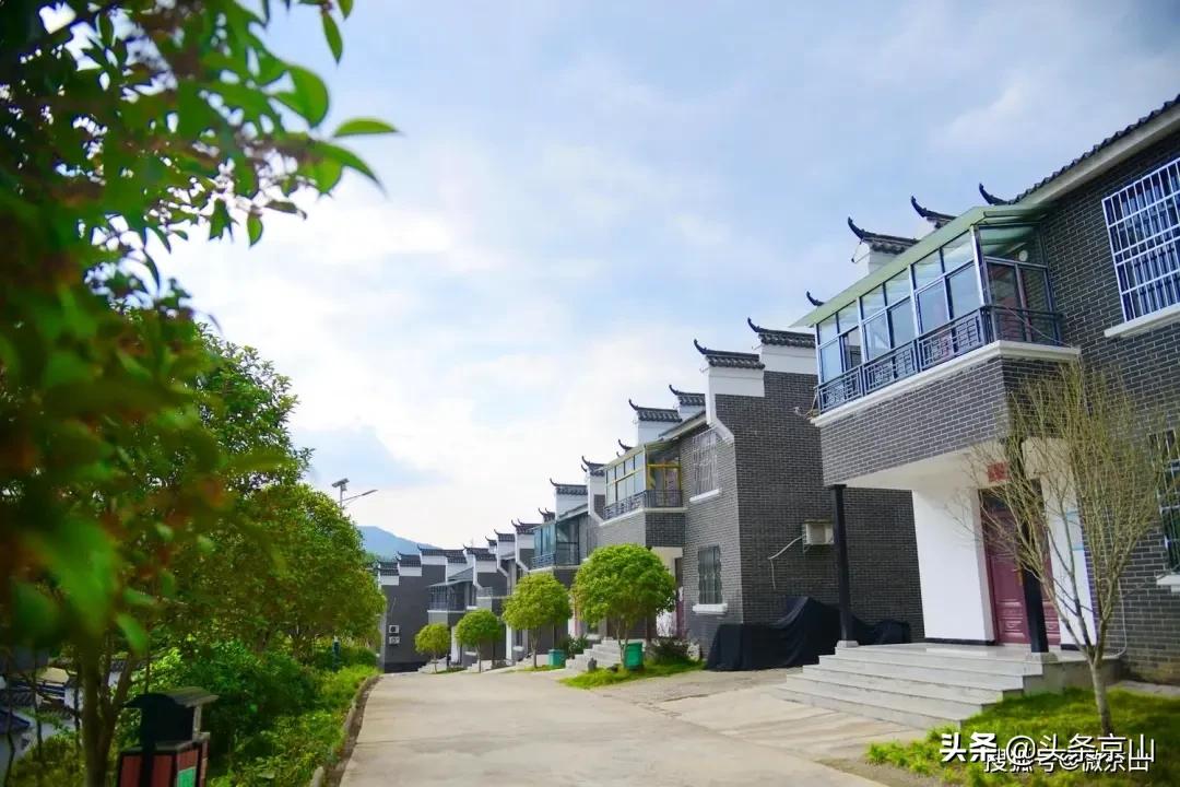 京山摄影爱好者,京山市摄影最牛的人