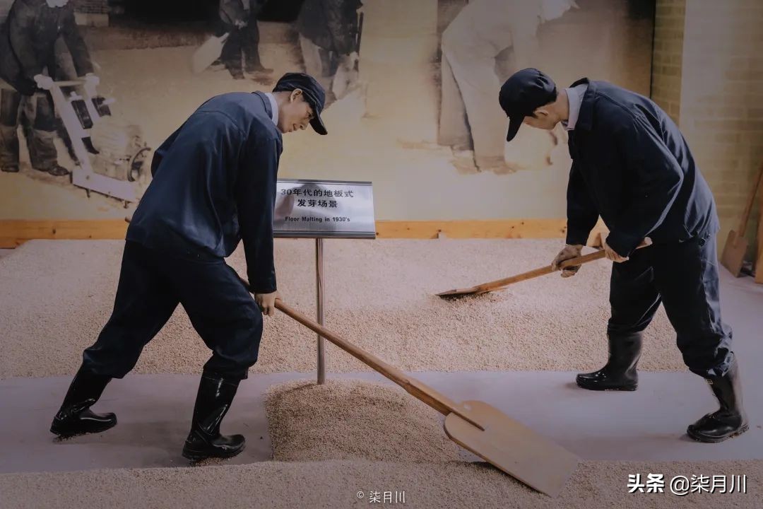 青岛旅行攻略比心,冬季旅游青岛攻略汇总