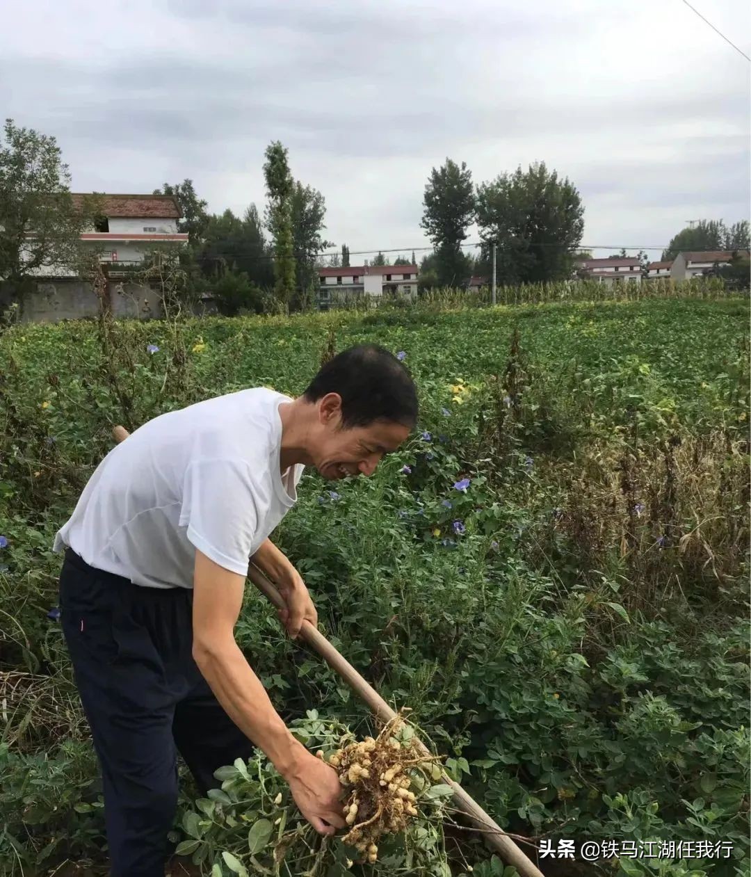 七眼泉的传说,七十二名泉的故事