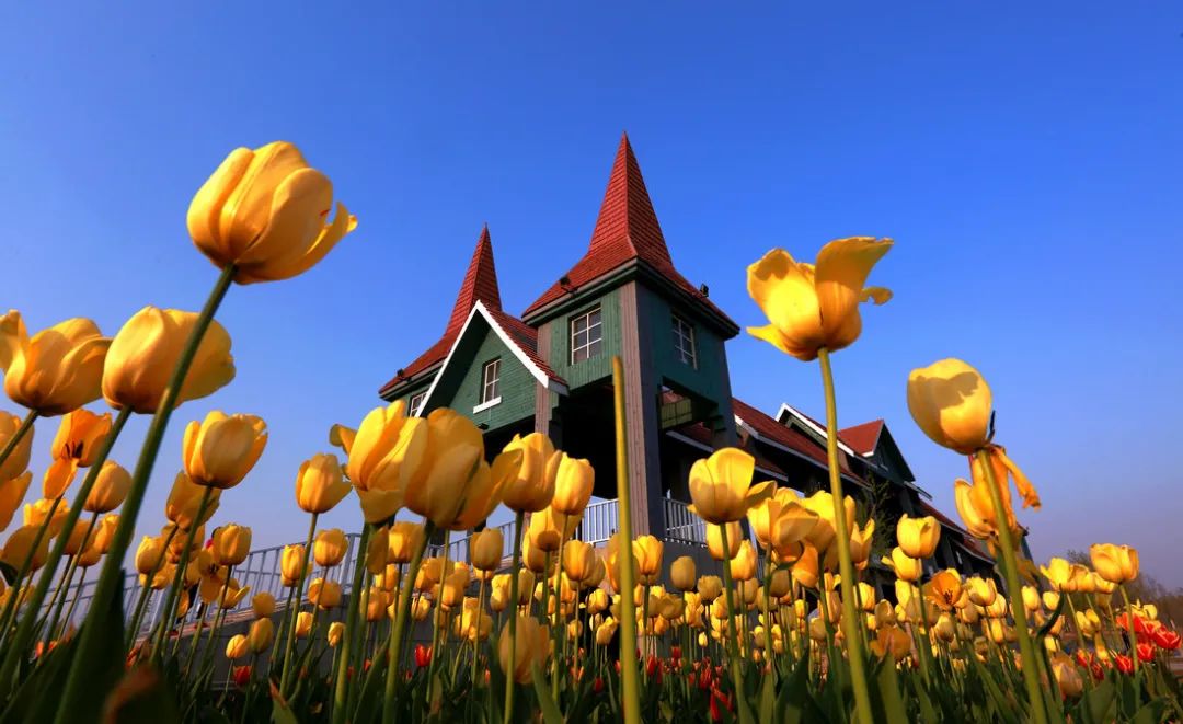 我爱我的家乡滨州市,我的家乡在滨州的作文