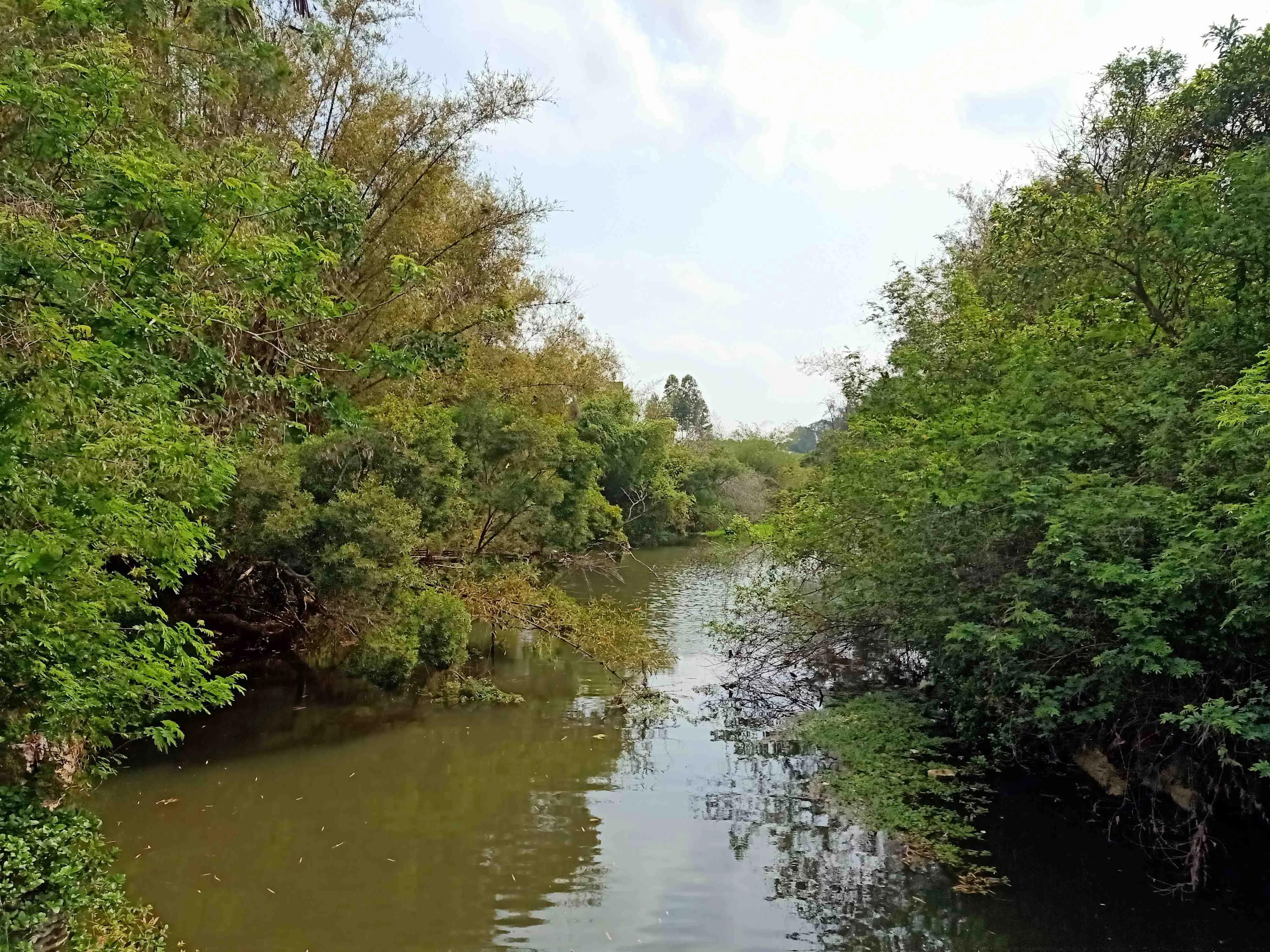 新寮闸与历史名人林锦一一《仙人桥史话》四