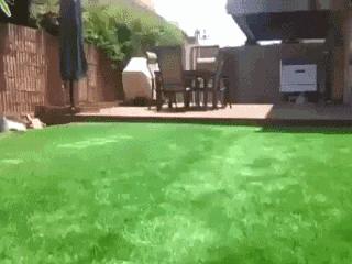 女朋友平胸我该怎么安慰,女朋友平胸该怎么安慰