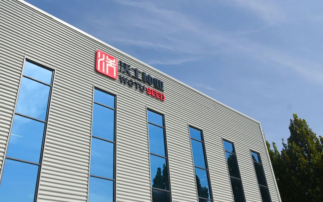 干出项目“加速度”，打造邯郸肥乡“种业高地”