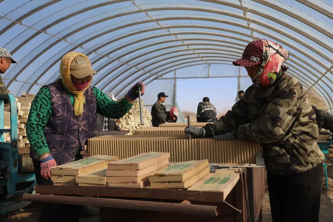 突泉县代耕代种补贴,感党恩听党话跟党走诗词