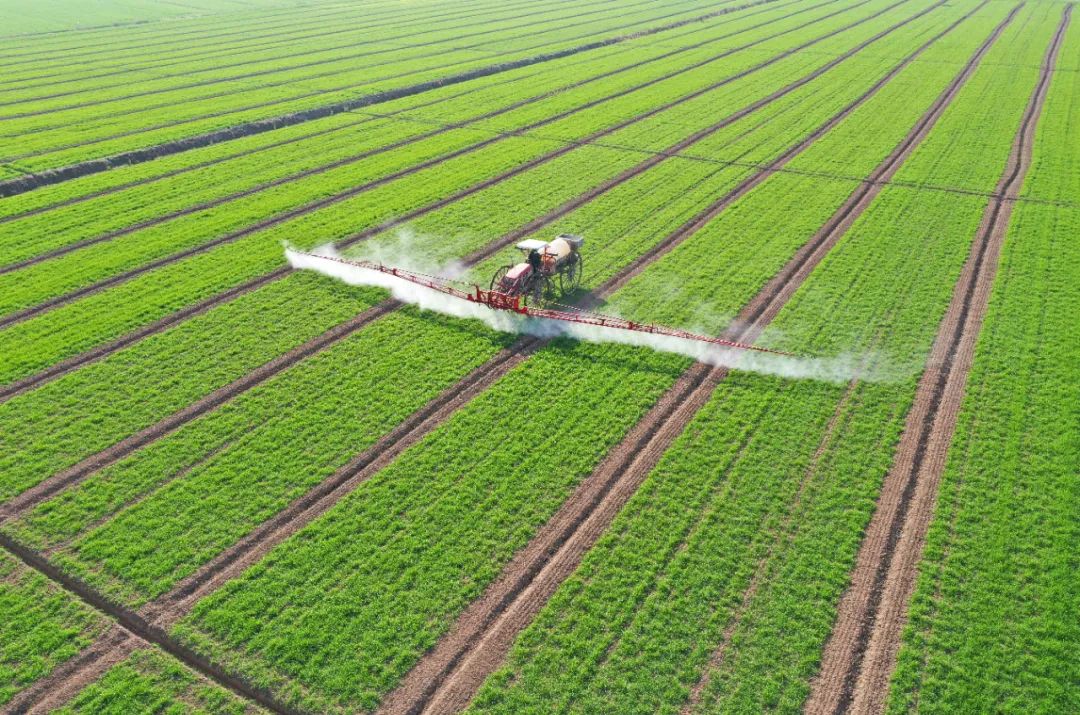 勇担历史使命深耕现代农业推动*党**的二十大精神在安徽农垦落地生根