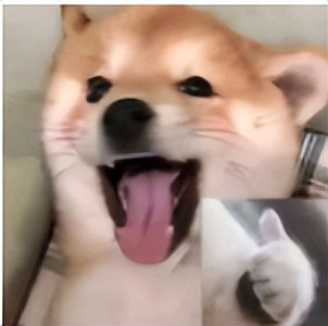 十大正确避孕方式,详细介绍各种常见的靠谱避孕方式