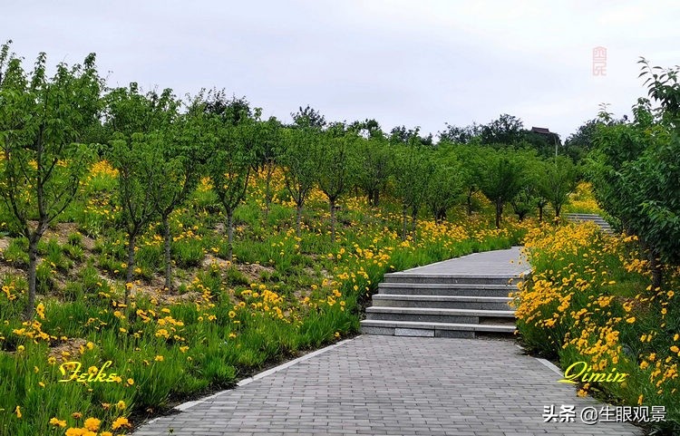 淄博花山公园好看吗,推荐一个好地方淄博花山公园