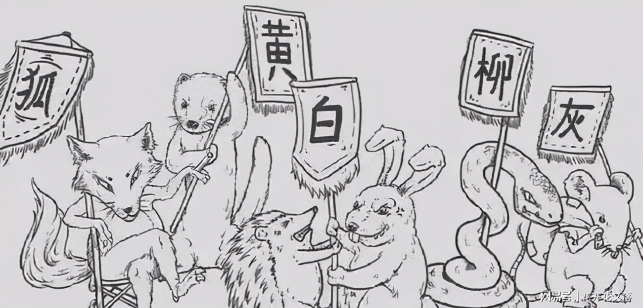 抓黄鼠狼罚960万,21人猎捕1.2万只黄鼠狼判赔近千万