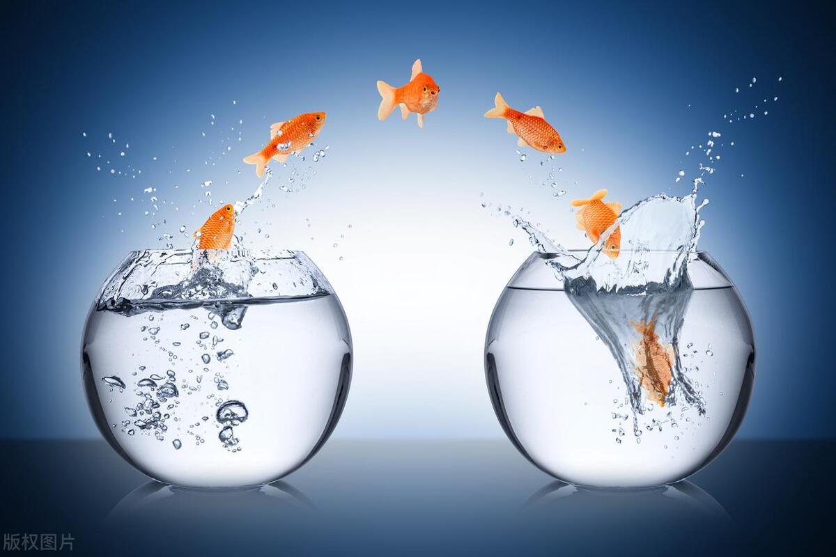 5元并不多,但是说话前请先学会尊重他人