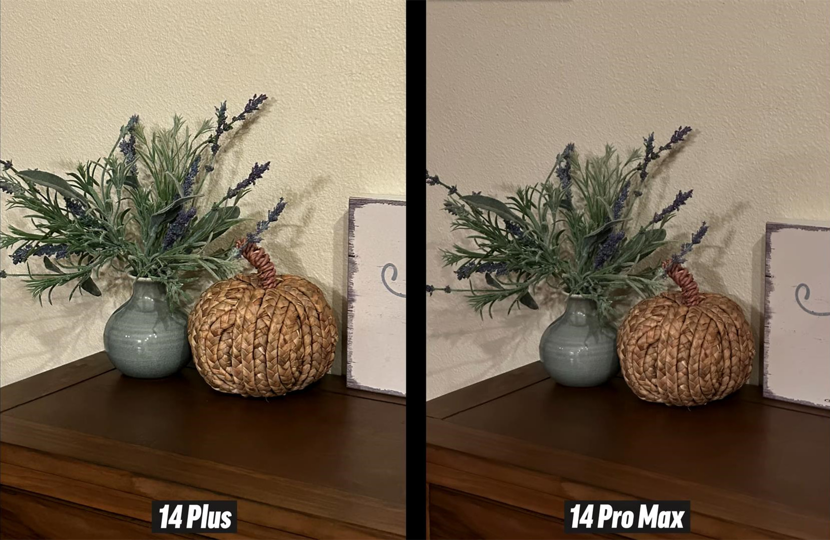 iphone14plus和iphone14promax拍照对比,iphone14和iphone14promax拍照对比