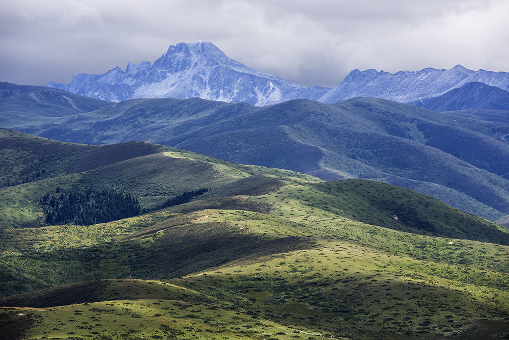 西部大草原旅游攻略,四川红原大草原自驾旅游攻略