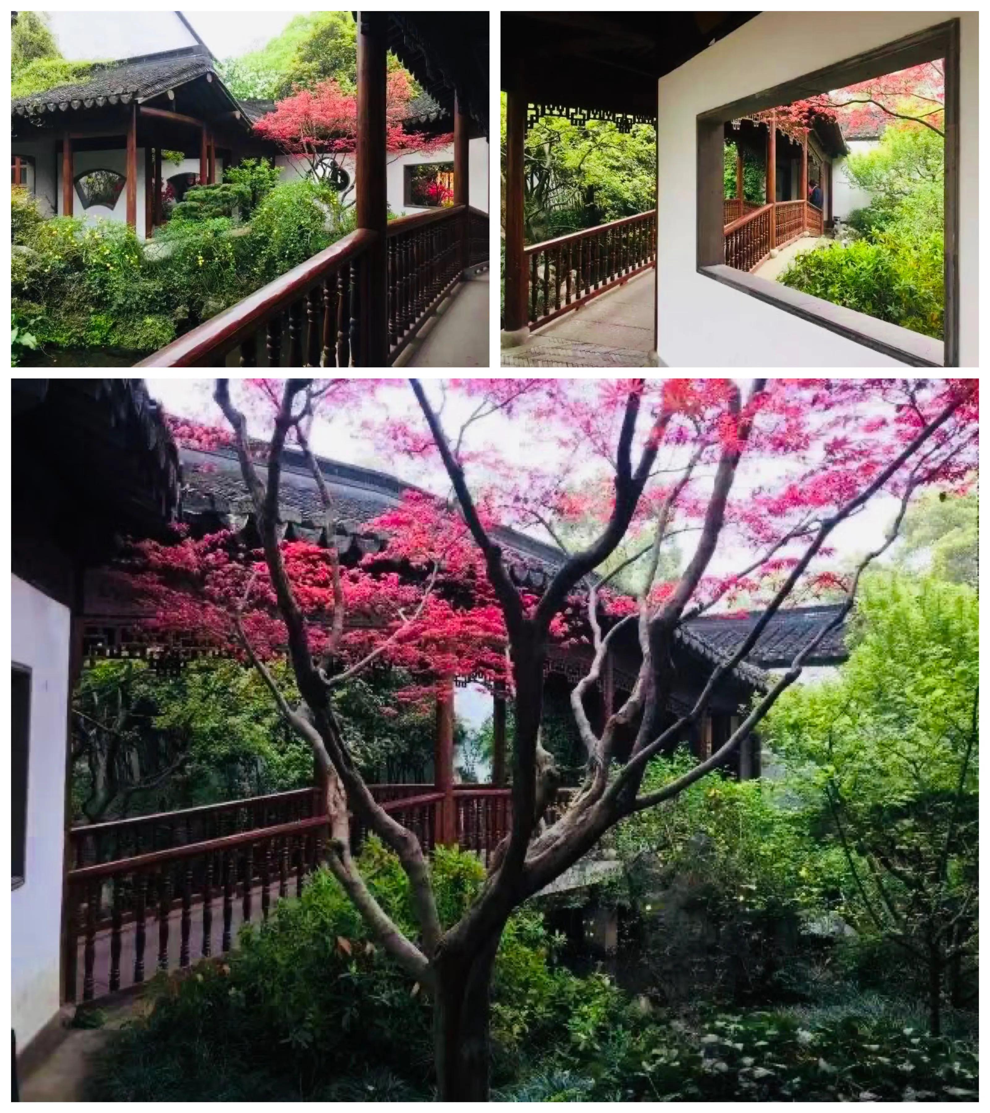 閮簞鍒樺簞,钂嬪簞鍒樺簞