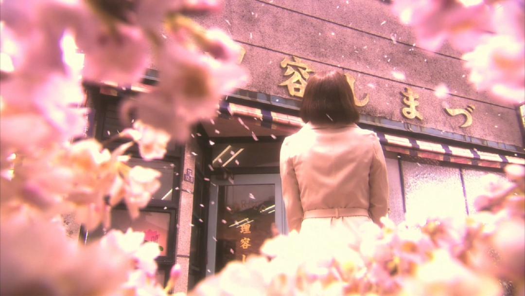 松子爱爸爸还是爱妈妈,松子为爱而活