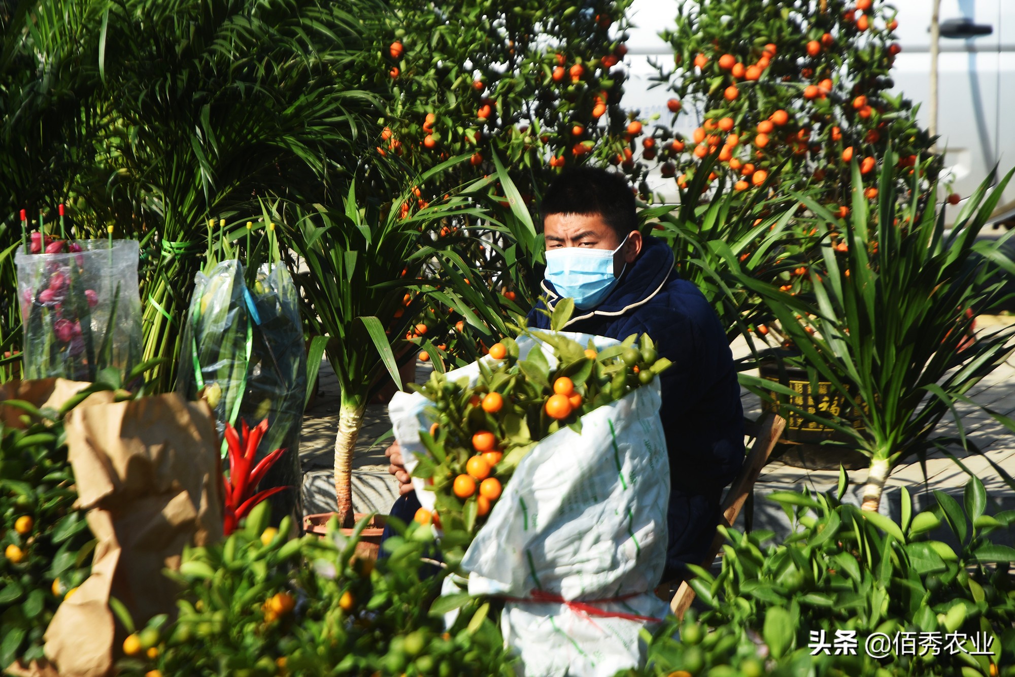 春节走基层看农村新变化,今年春节到了农村有什么变化