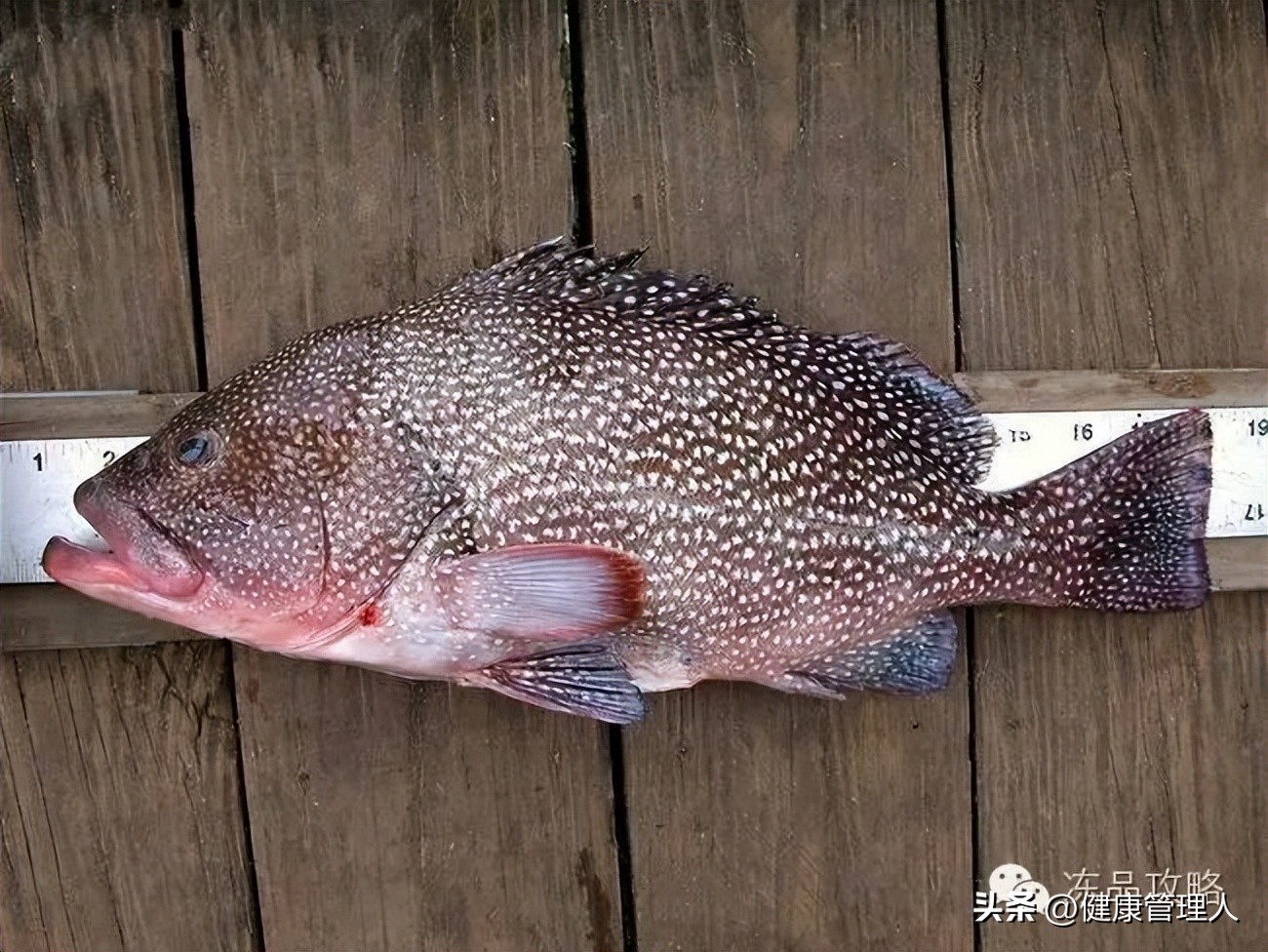 美容护肤食疗方案,美容护肤养生介绍