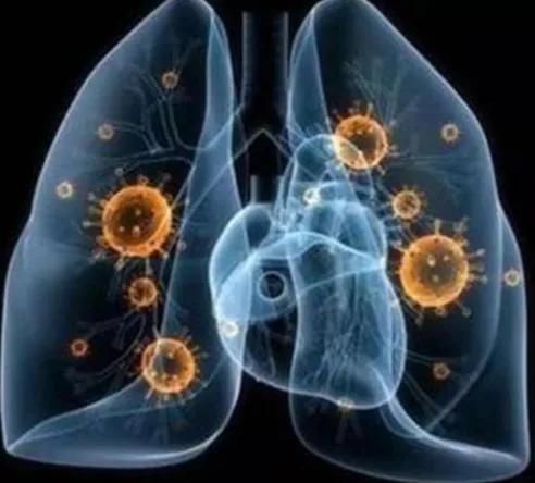 （转需）国家中医药管理局中医疫病防治专家委员会2022年12月10日