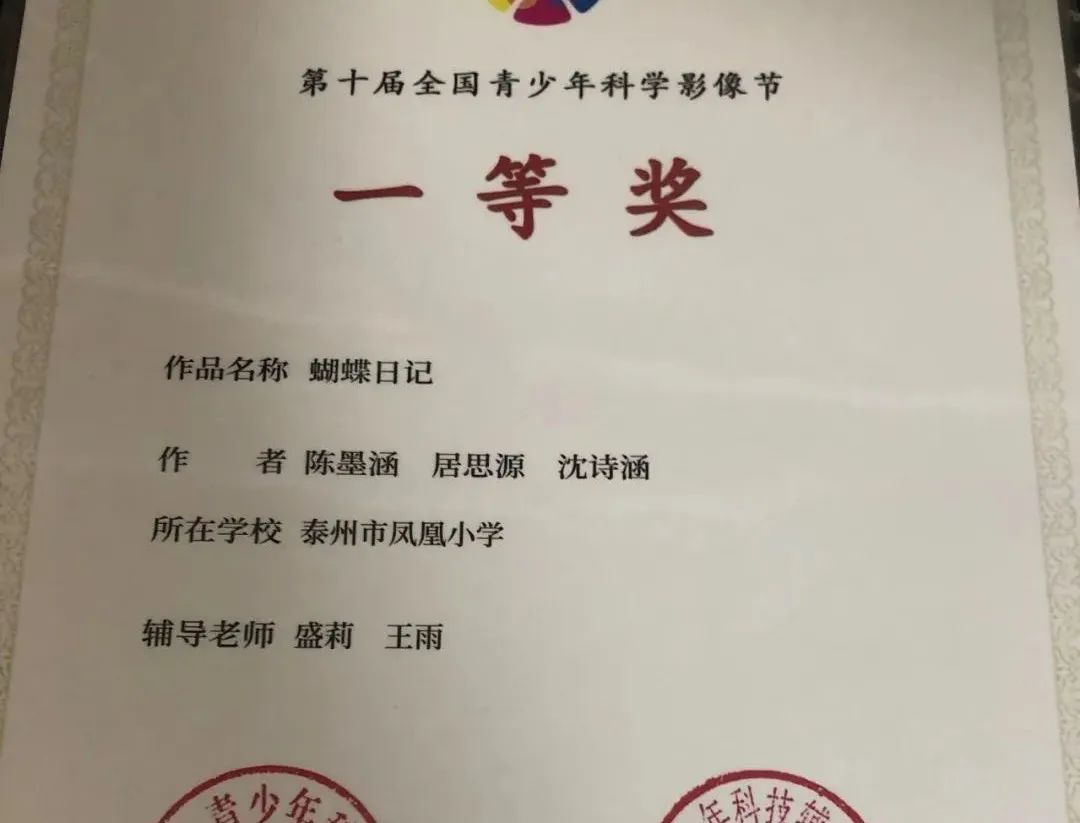泰州凤凰小学施教区,泰州凤凰小学教育机构