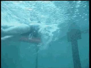 仰泳换自由泳的切换分解动作图解,混合泳仰泳后滚翻动作要领