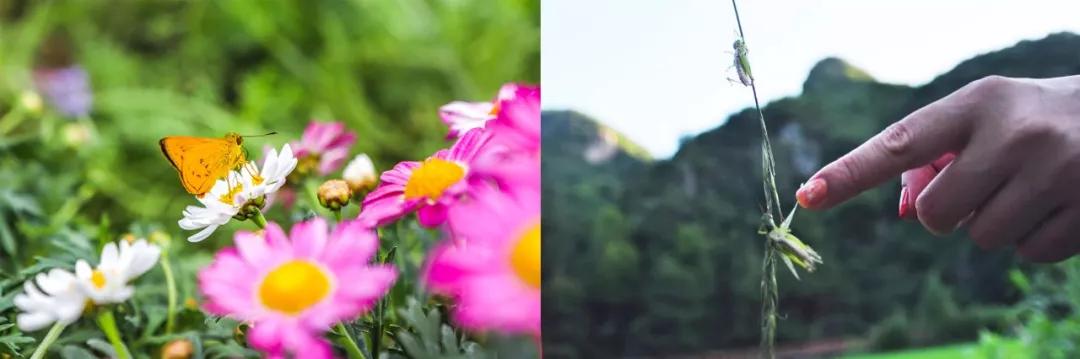 增城小众山野田园民宿,广州增城新晋网红民宿出炉