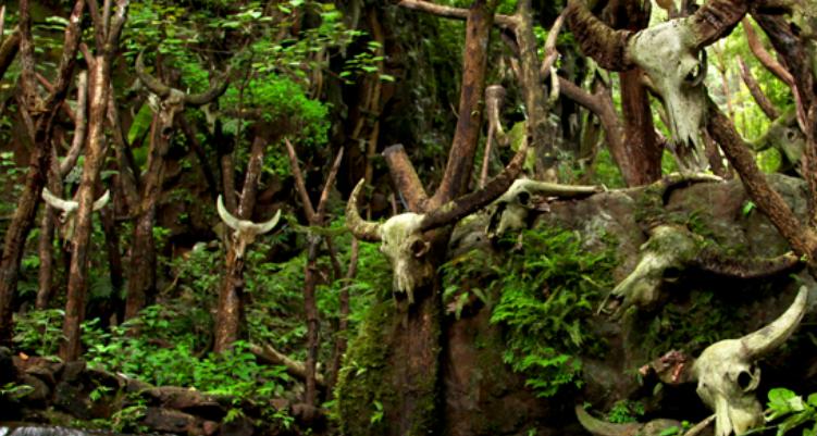 云南丽江哪个景点最美,云南16个最值得去的景点