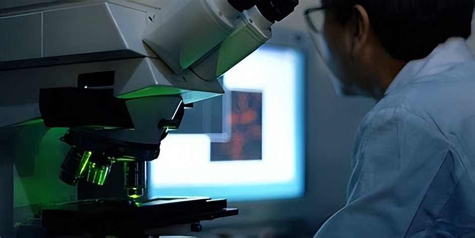 模拟仿真技术的作用,模拟仿真技术的发展