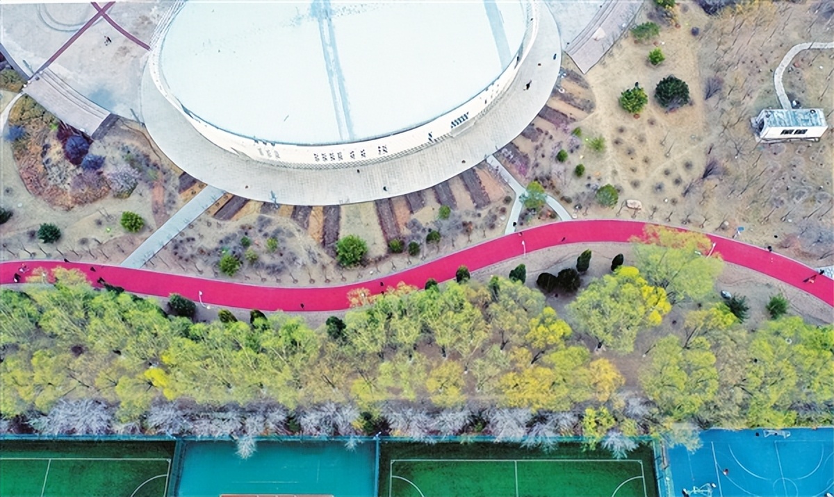 体育，让城市充满活力——晋中市奋力推动体育事业高质量发展