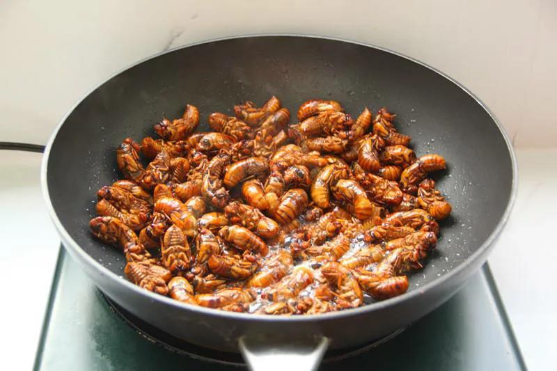 老年人高蛋白食物食谱一览表,适合老年人吃的低脂食物