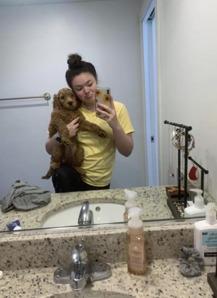 小黄狗长大的过程,小黄狗长大过程