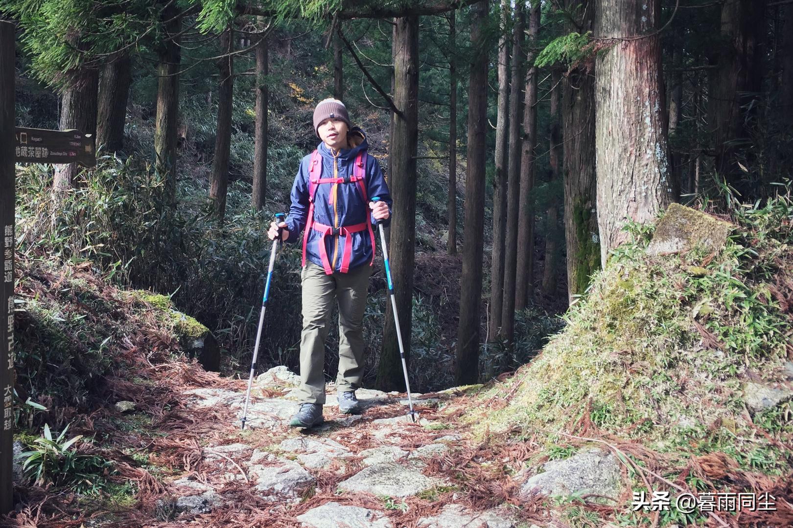 登山杖使用攻略,登山杖登山的时候怎么用