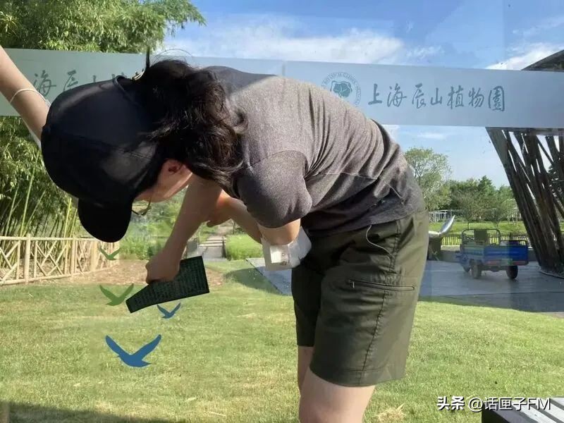 这种花花绿绿的贴纸在上海流行，警示对象不是人类？