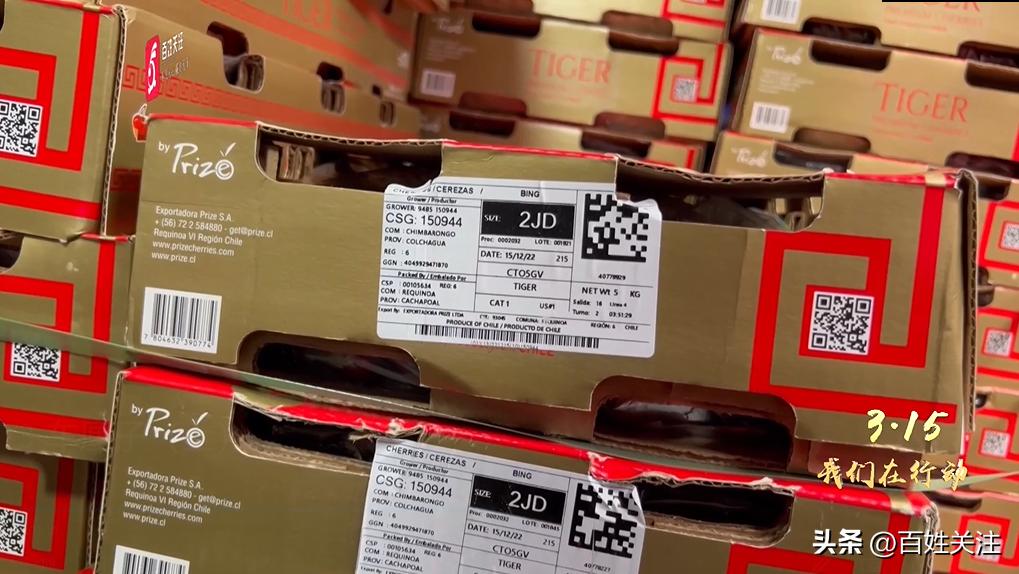 你以为花了几大百买的是进口3J车厘子？其实只是……成本低至3毛！