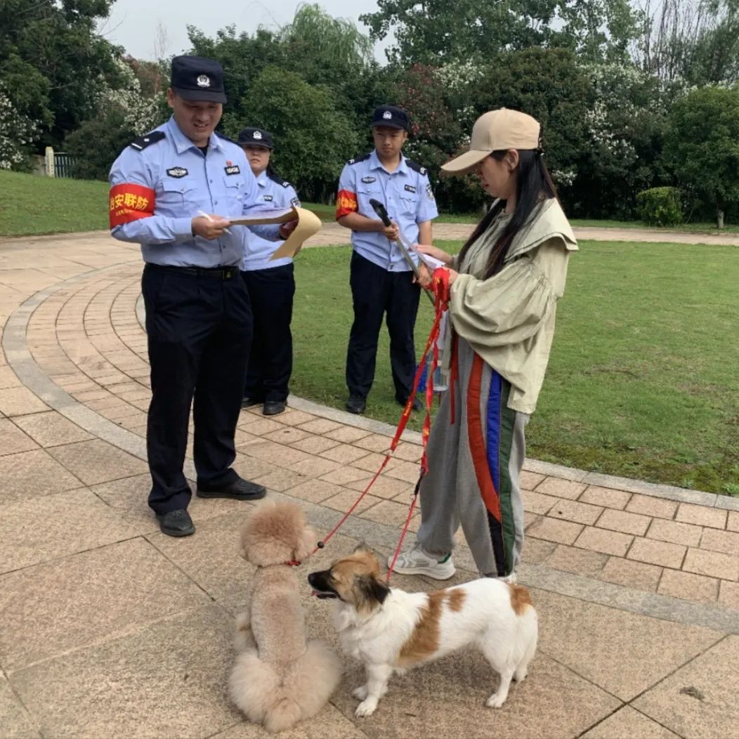 文明城市因不文明养犬被处罚,抚顺整治不文明养犬